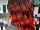 Hair Dressing Services