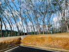 Halbarawa Homagama Land for Sale