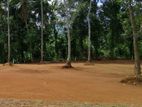 Halbarawa Near Valuable Land For Sale