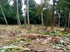 Hambantota : 108 perches Land for Sale at Middeniya