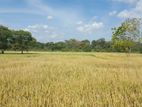 Hambantota - Land for Sale
