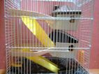 Hamster Cage