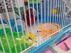 Hamster Cage