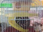 Hamster Cage