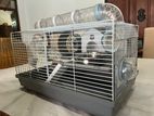 Hamster Cage