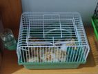 Hamster Cage