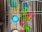 hamster cage with all accessories
