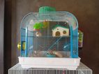 Hamsters with Cage