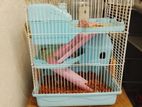 Hamster Snow White with Cage