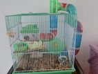 Hamsters with cage