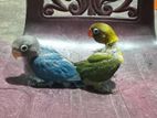 African Lovebirds