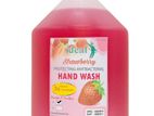 Hand Wash 4 Liter Can