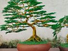 Handmade Bonsai