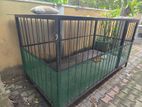 Large Dog Cage