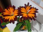 Handmade Pipe Cleansers Flowers