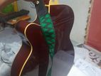 Handmade Toyama Japanese Guitar