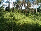 Hanwella Land for Sale