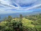 Haputale - Land for sale