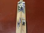Hard Ball Cricket Set