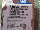 Hard Drive 250GB Laptop