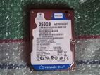 Hard Drive 250Gb