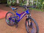 Mountain Bicycle