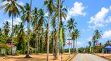 Harmony Gardens Land for Sale – Henegama, Weliweriya