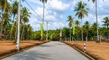 Harmony Gardens Land for Sale – Henegama, Weliweriya