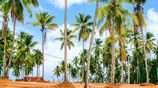 Harmony Gardens Land for Sale – Henegama, Weliweriya