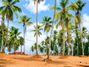 Harmony Gardens Land for Sale – Henegama, Weliweriya