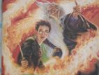 Harry Potter Book