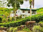 HATTON : 12-ACRE COMMERCIAL TEA ESTATE WITH RESORT FOR SALE