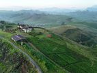 Hatton Tea Land for Sale D