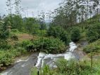 Hatton - Watawala 12 Acers Tea Estate with a Villa for Sale