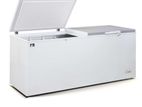 Havells 1000L Chest Deep Freezer Double Door (White)