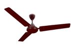 Havells Ceiling Fan 1400MM (56") - Brown Crew