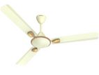 HAVELLS DECORATIVE CEILING FAN 1400MM - CELIA-WHITE GOLD