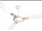 HAVELLS DECORATIVE CEILING FAN FESTIVA PRIME-ELEGANT WHITE GOLD