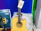 Hawks (D-12MC) Acoustic Guitar