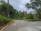 හබරාදුව දික්කුඹුර පාරෙන් බිම් කොටස්