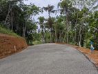 හබරාදුව දික්කුඹුර පාරෙන් බිම් කොටස්