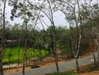 හබරාදුවෙන් නේවාසික භාවිතයට ඉඩමක්