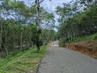 හබරාදුවෙන් සංචාරක ව්‍යාපාරයට බිම් කොටස්