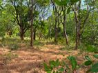 හබරණ අක්කර 4ක වටිනා ඉඩමක් විකිණීමට