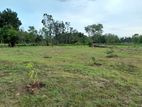 Land for Sale in Kataragama