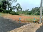 හොරණ Land for sale