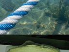 Heavy Duty PP-3 Anchor Rope