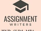 Helping Assignment MBA