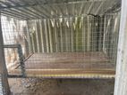 Hen Cage