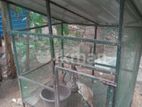 Hen Cage